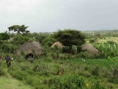 Hawassa-Ethiopie. het merendeel van de bevolking woont in dit type hutten